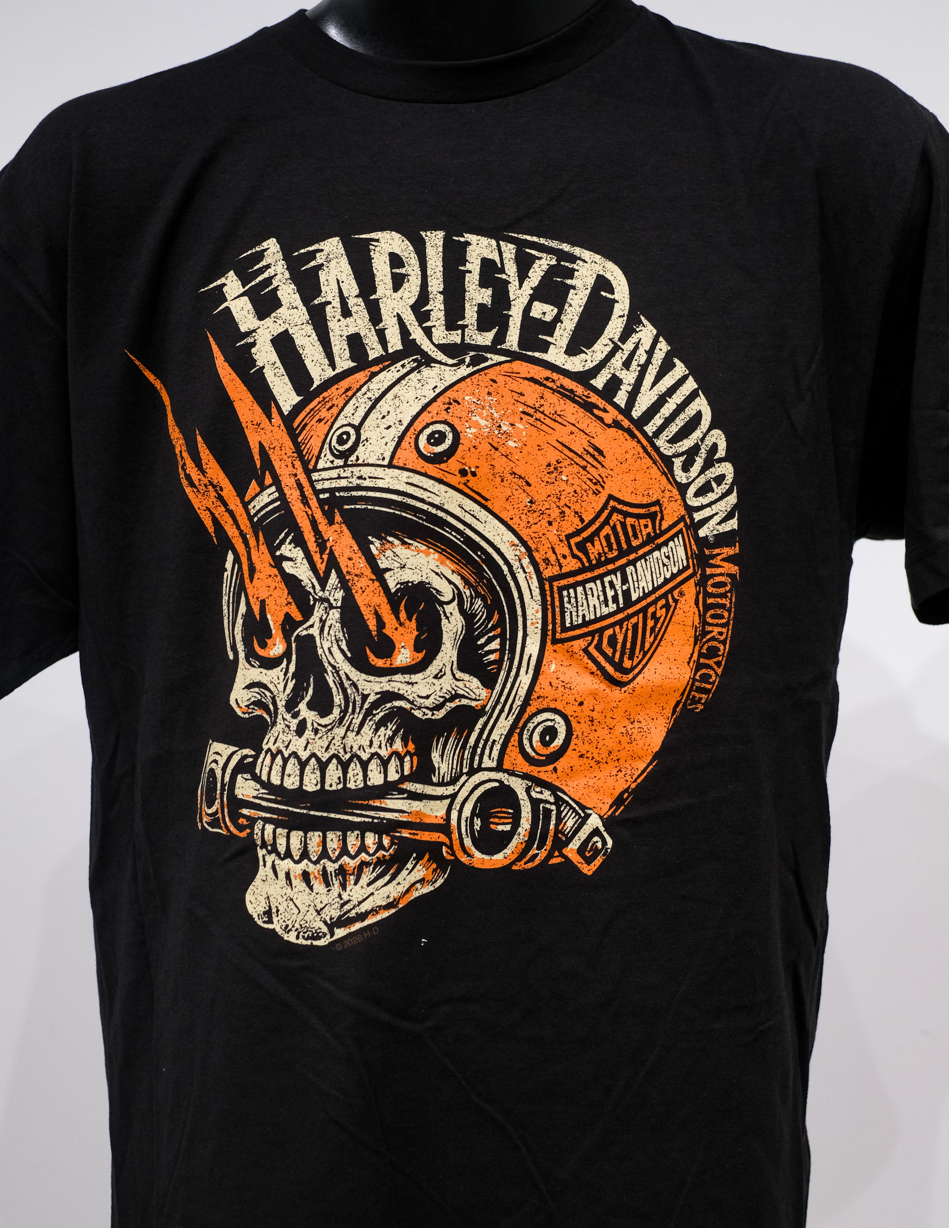 HD ELECTRIFY S/S MENS