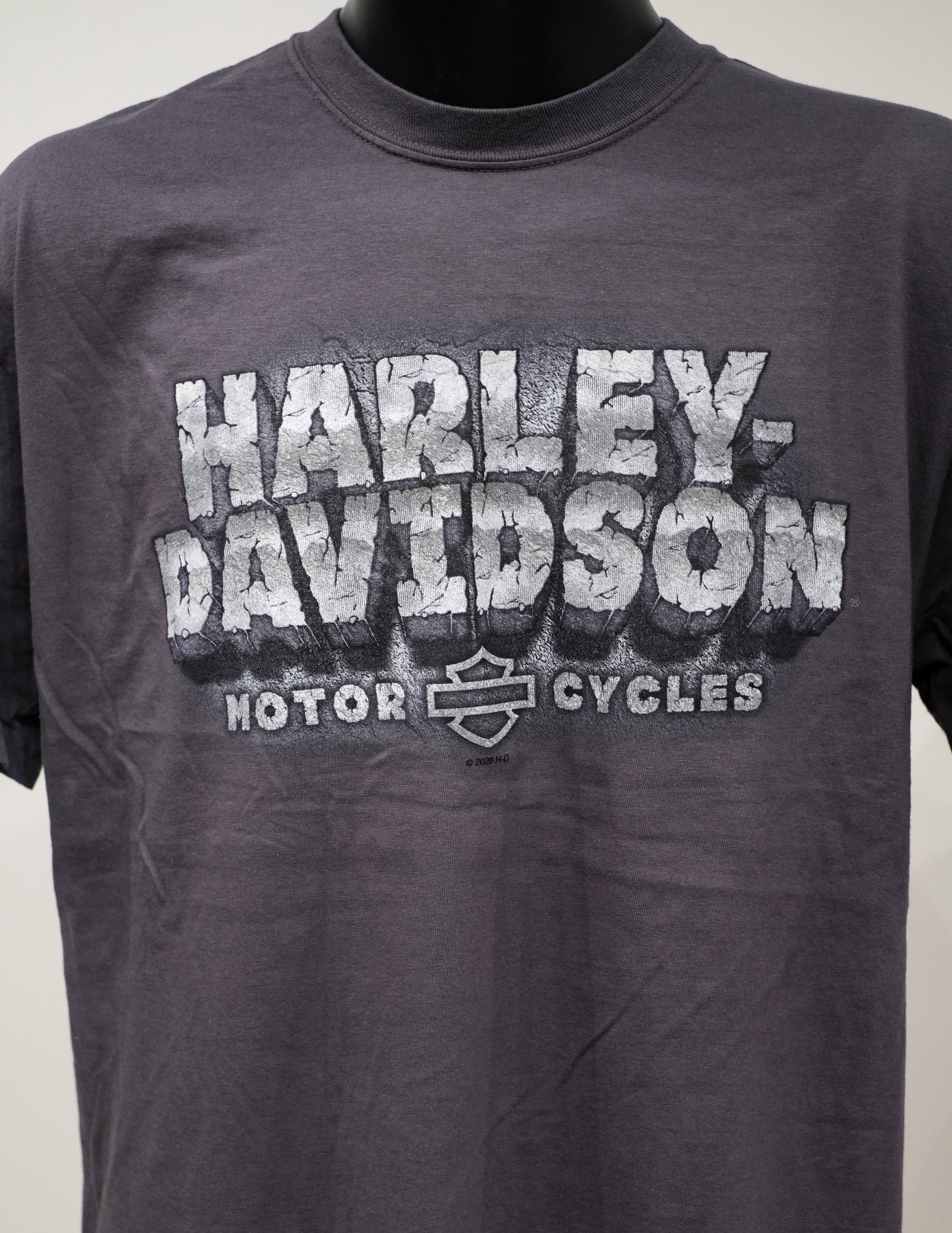 HD ROCK PILE S/S MENS